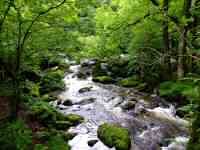 The River Kent just north of Jumb Force