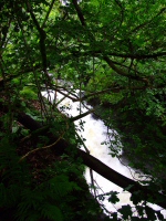 Another view of the Jumb Force