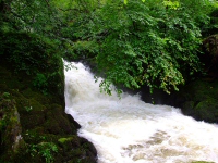 Jumb Force on the River Kent
