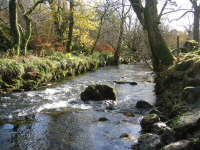 Reach of the River Kent just upstream of the proposed intake